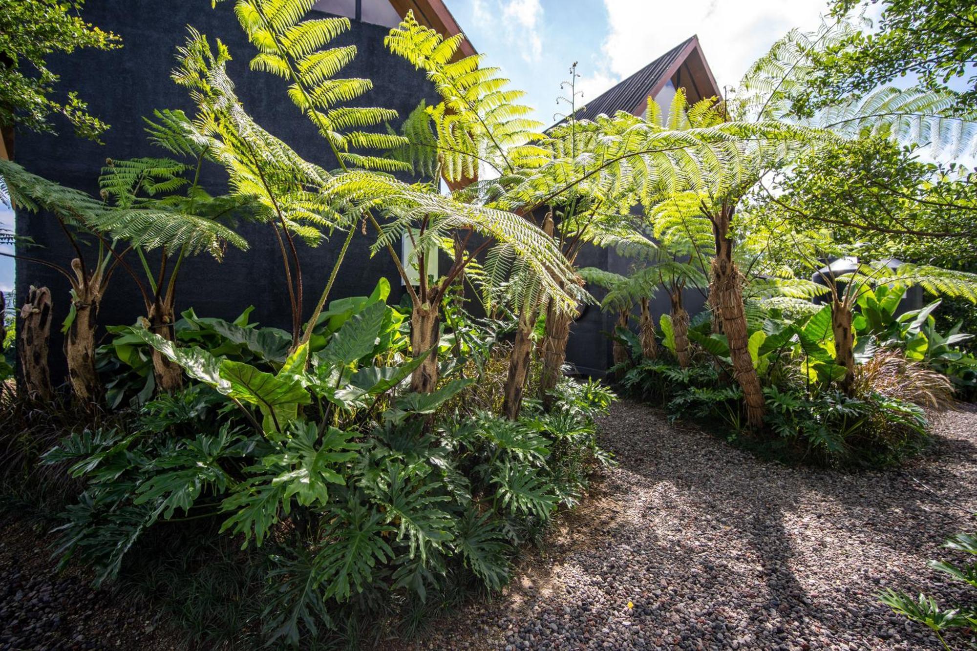Black Wood Cabin Kintamani Exterior foto